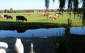 B&B-Edam